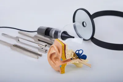 Teresińska Elżbieta, dr nauk med. otolaryngolog. Spec. foniatra, audiolog